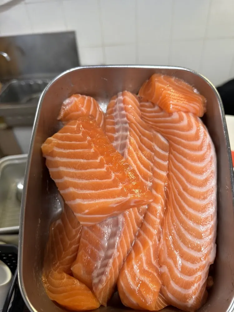 Salmon